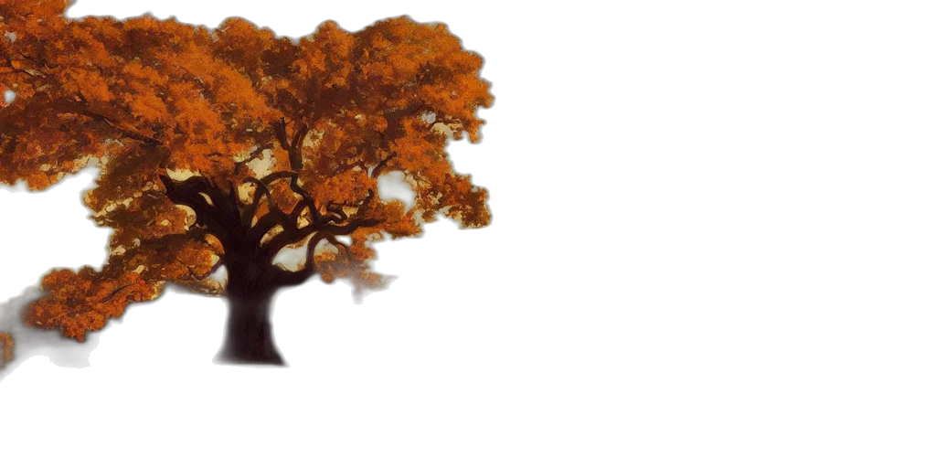 tree, crown, hair, hat, photorealistic, 3d render, concept art, pixel art transparent PNG cut-out