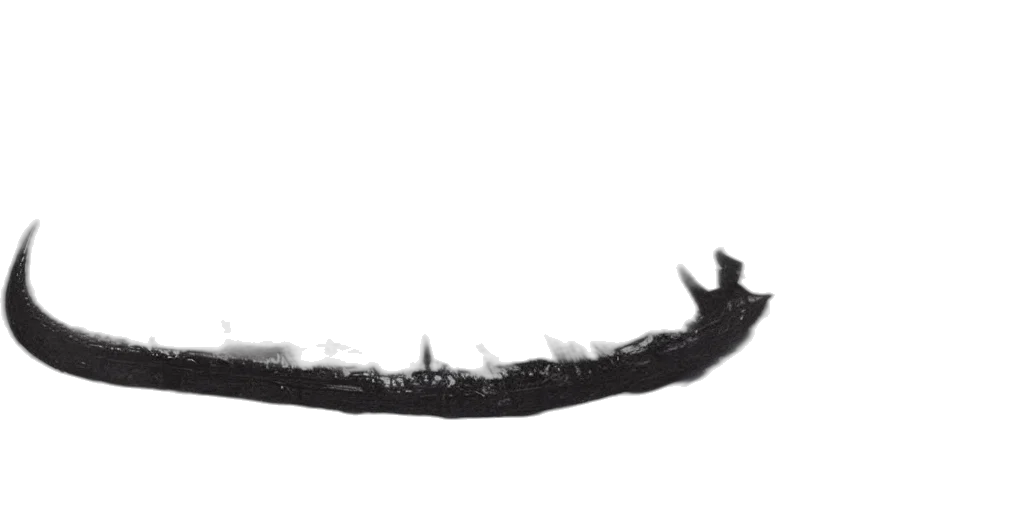 crown, hair, staff, mask transparent PNG cut-out
