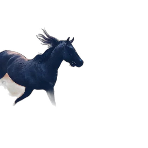 animal, dragon, creature, hair, concept art, 3d render, photorealistic, fantasy art transparent PNG cut-out