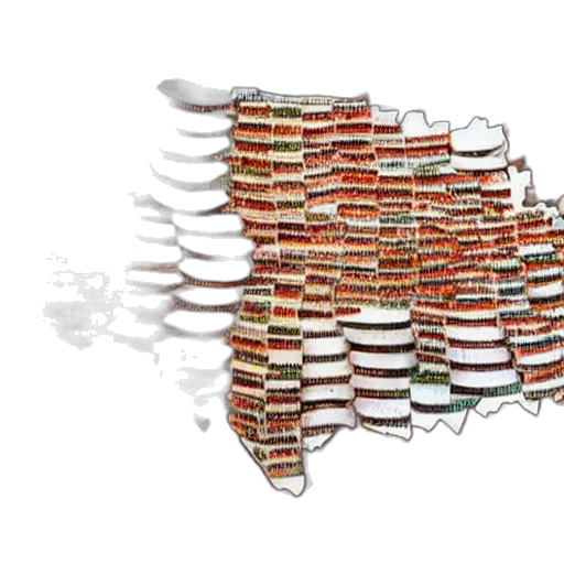 shoes, map, united, states, made, out, sushi, table transparent PNG cut-out