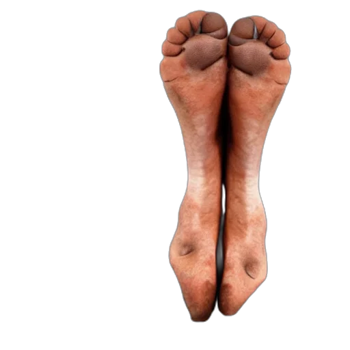 shoes, face, hair, food, photorealistic, 3d render, human, four transparent PNG cut-out