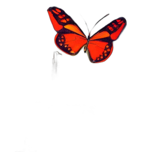 jewelry, animal, flower, staff transparent PNG cut-out