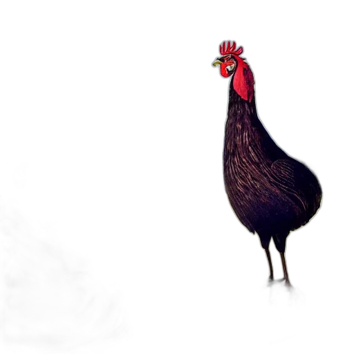 animal, creature, dress, weapon transparent PNG cut-out