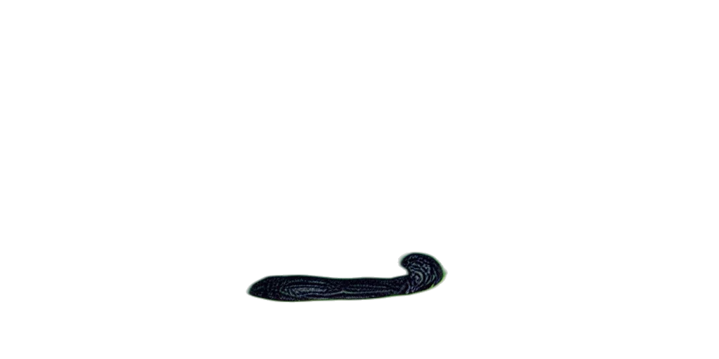 hair, staff, animal, hat, photorealistic, 3d render, pixel art, concept art transparent PNG cut-out