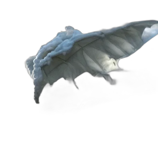dragon, creature, animal, weapon transparent PNG cut-out