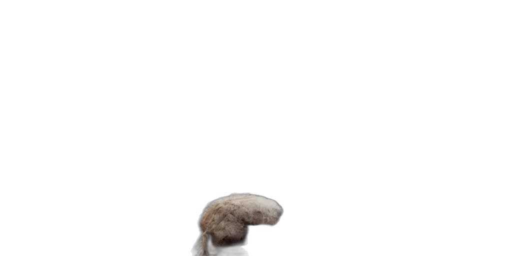 hat, hair, crown, creature, 3d render, photorealistic, concept art, pixel art transparent PNG cut-out