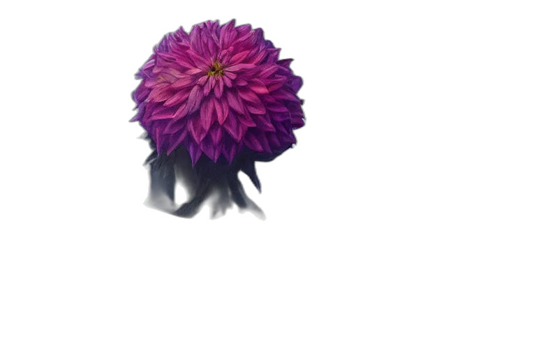 flower, crown, hair, umbrella, 3d render, photorealistic, concept art, pixel art transparent PNG cut-out