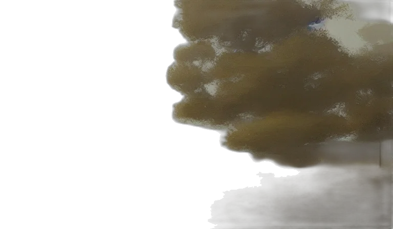 tree, hair, dragon, weapon transparent PNG cut-out