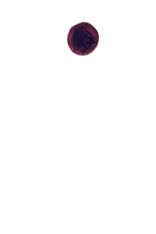 staff, face, mask, hair transparent PNG cut-out