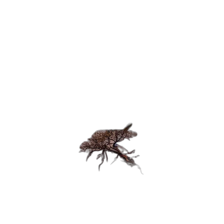 animal, creature, dragon, hair, 3d render, pixel art, photorealistic, concept art transparent PNG cut-out