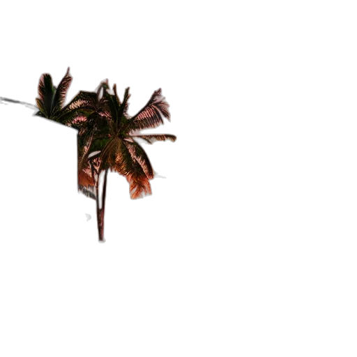 flower, tree, hair, crown transparent PNG cut-out