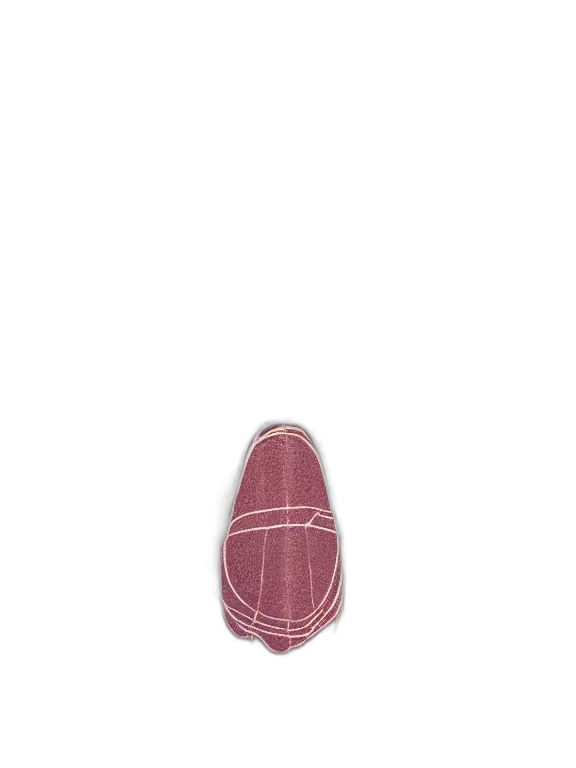 bottle, jewelry, shoes, hat, cinematic, close, portrait, symmetrical transparent PNG cut-out