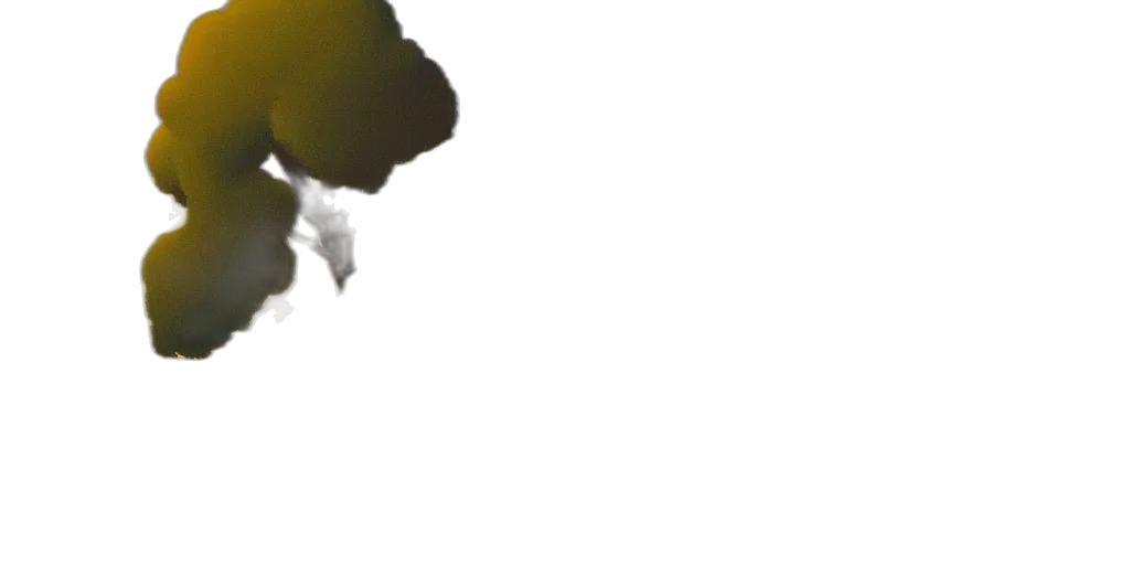 staff, crown, face, flower transparent PNG cut-out