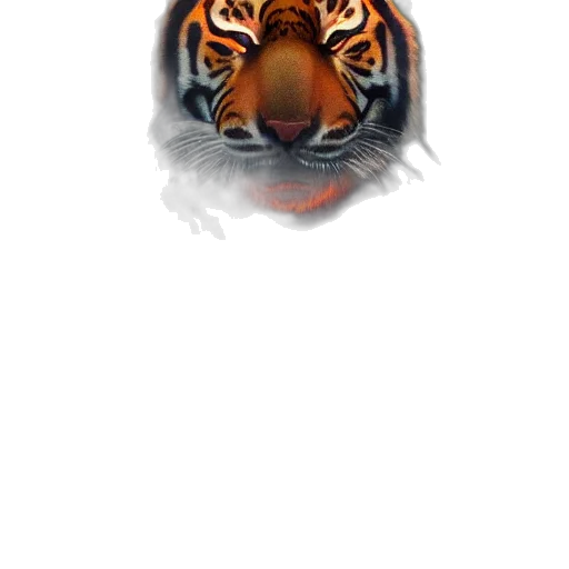 animal, creature, mask, jewelry transparent PNG cut-out