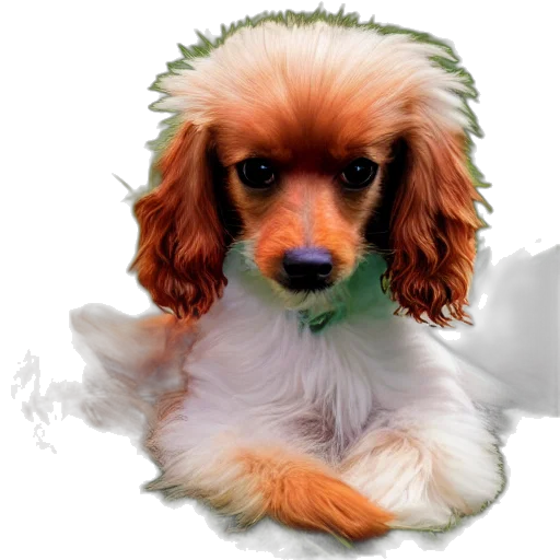 animal, creature, staff, face, photorealistic, oil painting, 3d render, pixel art transparent PNG cut-out