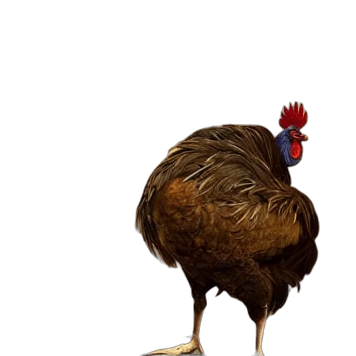 animal, creature, food, hat, 3d render, concept art, photorealistic, pixel art transparent PNG cut-out