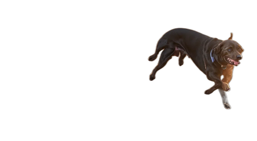animal, creature, furniture, shoes, 3d render, photorealistic, concept art, high transparent PNG cut-out
