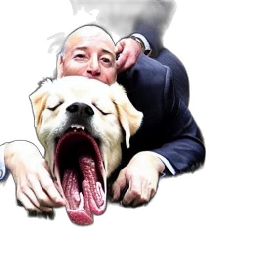 animal, creature, photorealistic, photo, joe, biden, tongue, licking transparent PNG cut-out
