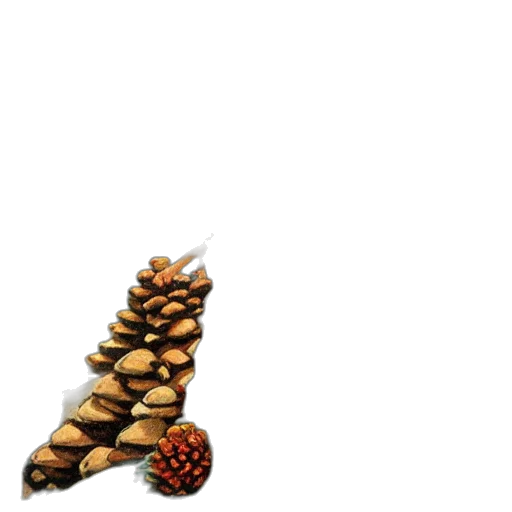 dragon, food, animal, staff transparent PNG cut-out