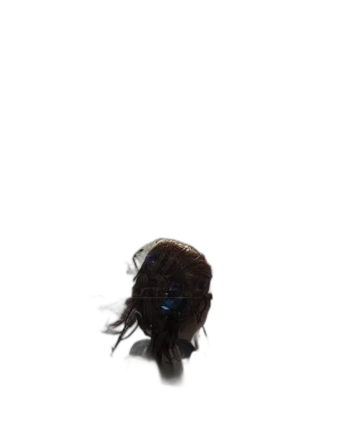 hair, mask, crown, creature, 3d render, photorealistic, concept art, outer space transparent PNG cut-out