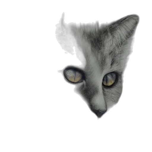 animal, creature, mask, face transparent PNG cut-out
