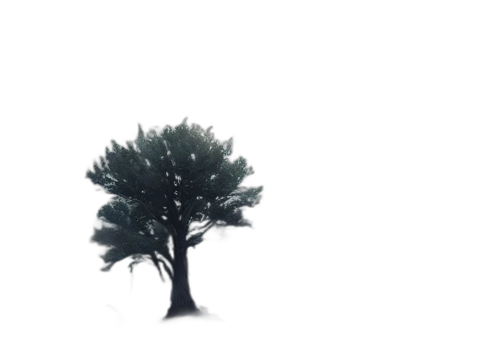 tree, crown, hair, creature transparent PNG cut-out