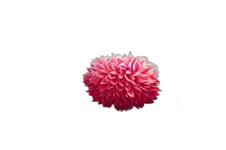 flower, crown, jewelry, hair, 3d render, photorealistic, giant, dahlia transparent PNG cut-out