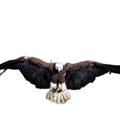 animal, creature, staff, jewelry transparent PNG cut-out