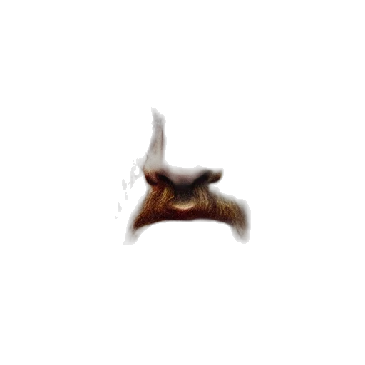 dragon, mask, face, animal transparent PNG cut-out