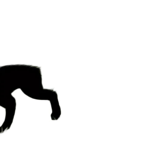 animal, creature, dragon, hair transparent PNG cut-out