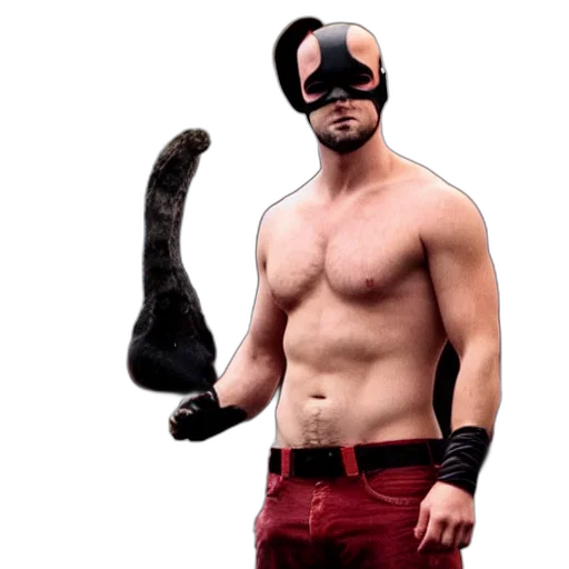 animal, mask, creature, ryan, goslin, daredevil transparent PNG cut-out