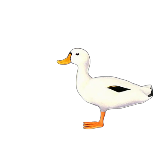 animal, creature, weapon, food transparent PNG cut-out
