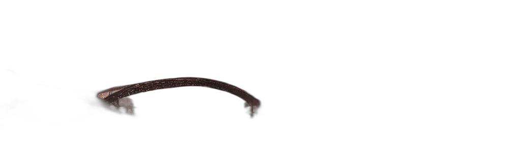hair, staff, weapon, hat transparent PNG cut-out