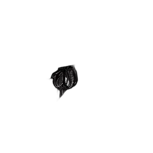 hair, flower, crown, jewelry transparent PNG cut-out