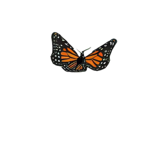 animal, creature, jewelry, crown transparent PNG cut-out