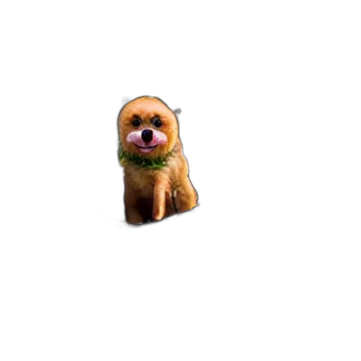 animal, creature, face, staff transparent PNG cut-out