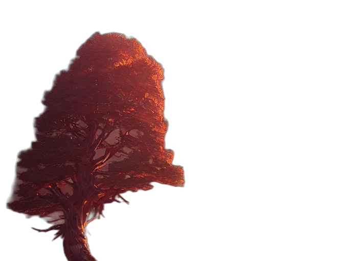 tree, hair, crown, hat transparent PNG cut-out