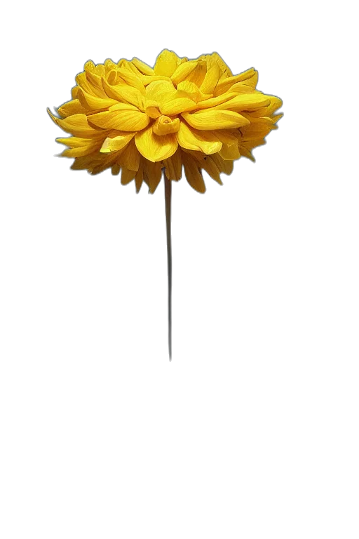 flower, crown, umbrella, staff, 3d render, photorealistic, concept art, pixel art transparent PNG cut-out