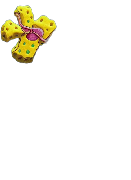 jewelry, shoes, weapon, umbrella transparent PNG cut-out