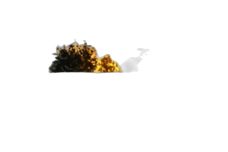 tree, crown, hair, dragon, 3d render, pixel art, photorealistic, concept art transparent PNG cut-out