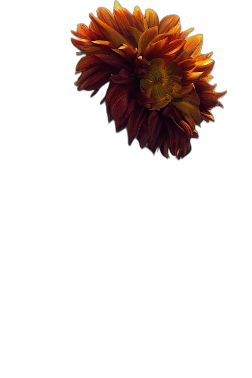 flower, crown, staff, face, photorealistic, 3d render, oil painting, watercolor transparent PNG cut-out