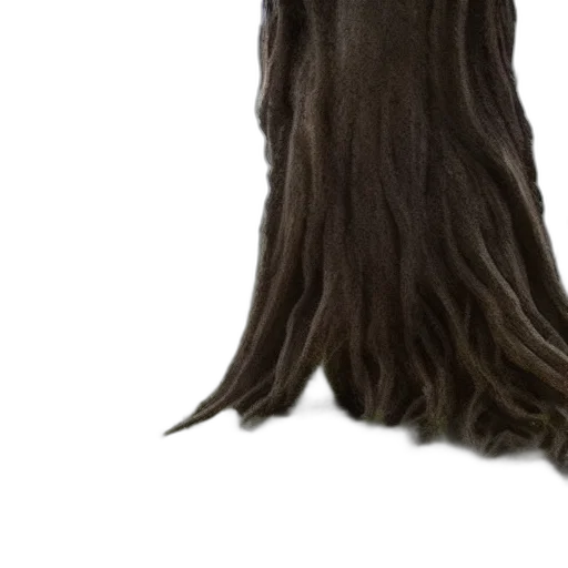 hair, crown, tree, mask transparent PNG cut-out