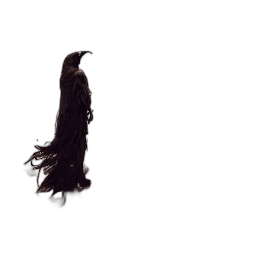 hair, dress, creature, animal transparent PNG cut-out