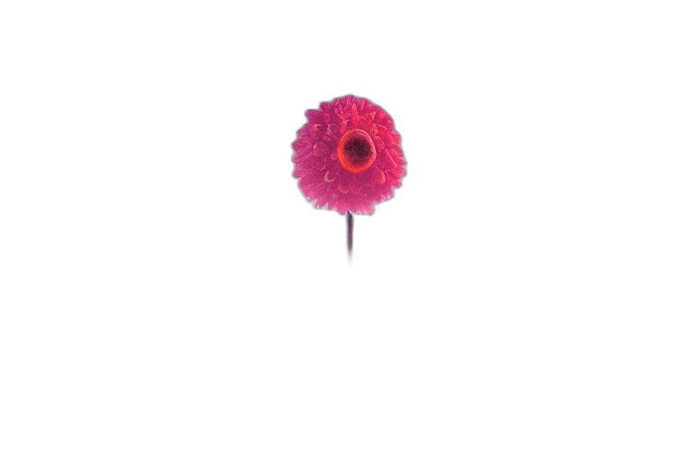 flower, staff, umbrella, crown transparent PNG cut-out