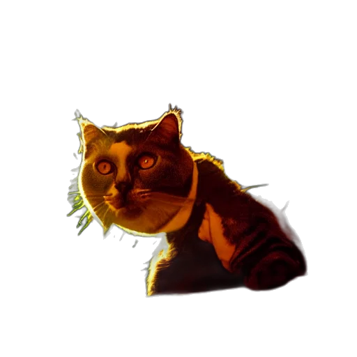 animal, staff, creature, face transparent PNG cut-out