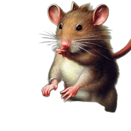 animal, food, creature, staff, photorealistic, oil painting, concept art, 3d render transparent PNG cut-out