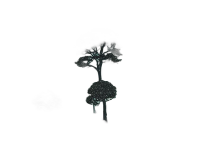 tree, umbrella, jewelry, crown transparent PNG cut-out