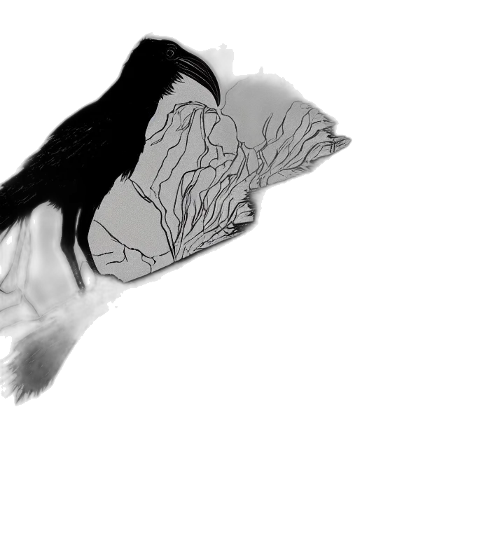 hair, creature, mask, animal, photorealistic, concept art, pencil sketch, fantasy art transparent PNG cut-out