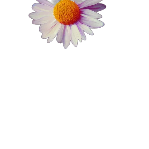 flower, jewelry, crown, staff, 3d render, photorealistic, pixel art, watercolor transparent PNG cut-out