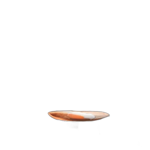 shoes, jewelry, food, bottle transparent PNG cut-out